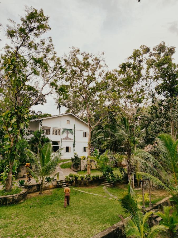 מלון טנגלה Kirinuga Boutique Retreat מראה חיצוני תמונה